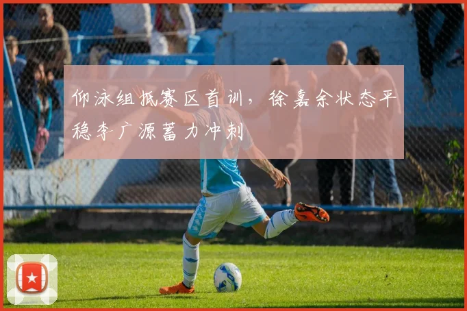 仰泳组抵赛区首训,徐嘉余状态平稳李广源蓄力冲刺 - 2026世界杯推荐