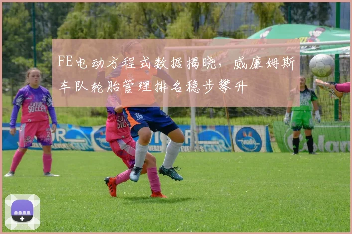 FE电动方程式数据揭晓,威廉姆斯车队轮胎管理排名稳步攀升 - 2026世界杯推荐