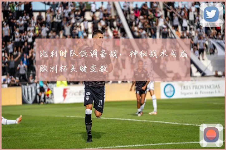 比利时队低调备战,神秘战术或成欧洲杯关键变数 - 2026世界杯推荐